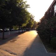 有功分量的个人资料头像