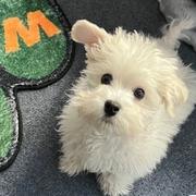 好运连连797的个人资料头像