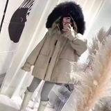 用户4750249514262头像