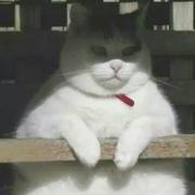 MrL356的个人资料头像