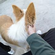 Jaxw的个人资料头像