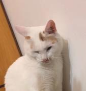 jisa的个人资料头像