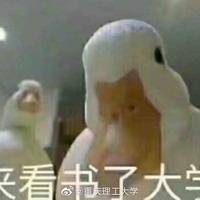 珠海李老师头像