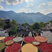 张百万的个人资料头像