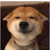 努力学习2023的个人资料头像