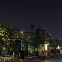 热情轮船sl头像