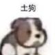 脚味腊肠头像