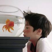 木子走戉的个人资料头像