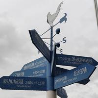 早点睡觉51头像