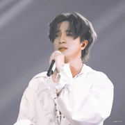 吃橘子的柯基的个人资料头像