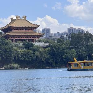 云间畅快翱翔的鹰头像