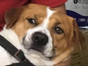 萧景铭的个人资料头像