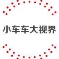 小车车大视界头像