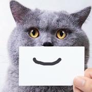 Hunx的个人资料头像