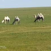 啊木小军的个人资料头像