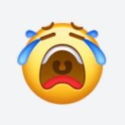 何苦的个人资料头像