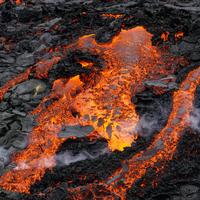 全球汽车热闻头像