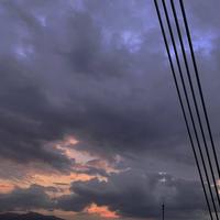 舟渡988头像