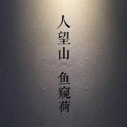 南风知白墙的个人资料头像