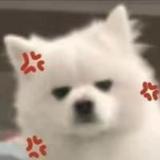 居亦352头像