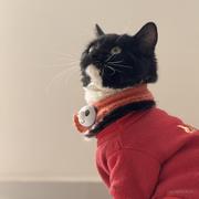 用户3037978759998的个人资料头像