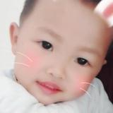 小小憨头像