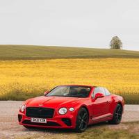 小手冰凉1361头像