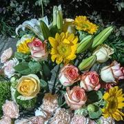 Shillyshen的个人资料头像