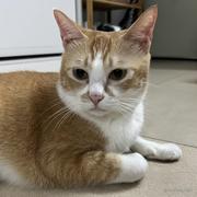 杰森史帕克的个人资料头像