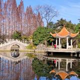 YQ国头像