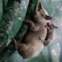 正能量宇宙3i8头像