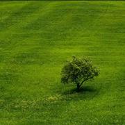 一米水田的个人资料头像