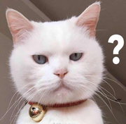 上吊的小前端的个人资料头像