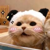大俊285头像