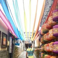 分秒必争葡萄5q1头像