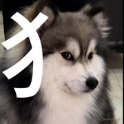 库库里的个人资料头像