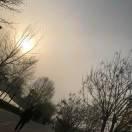 爱学习76913的个人资料头像