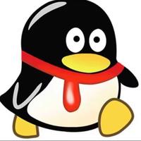 奥迪Rs之家头像