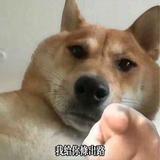 Gbrother丶头像