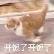 真不熬夜了的个人资料头像