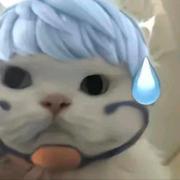 银耳的个人资料头像