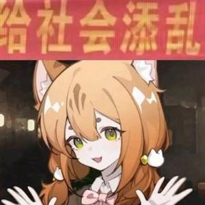 1711XD头像