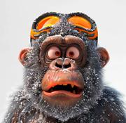 极光_Gellmoonly的个人资料头像