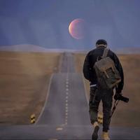 醇于淡味ざ头像