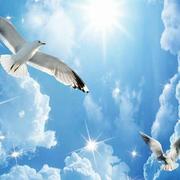 静夜思839的个人资料头像