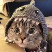 用户7987988108175的个人资料头像