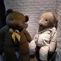 Teddybear2头像