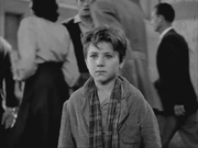 Terabithia的个人资料头像