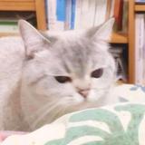 L-づ头像