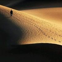 野火爱影视头像